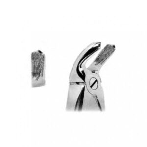 Lower molars