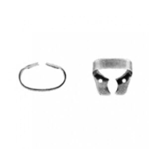 PREMOLARS